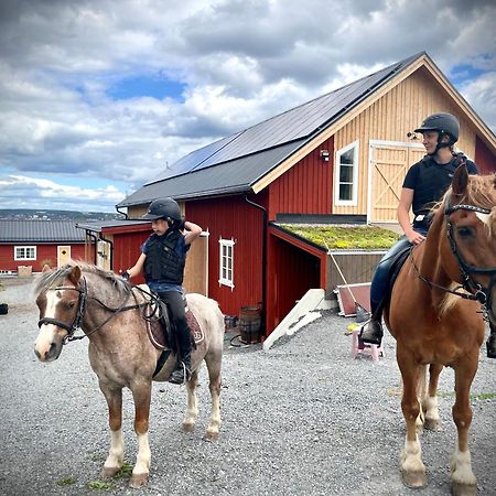 Scenic Small Guesthouse On Horse Farm By The Lake Frösö エクステリア 写真