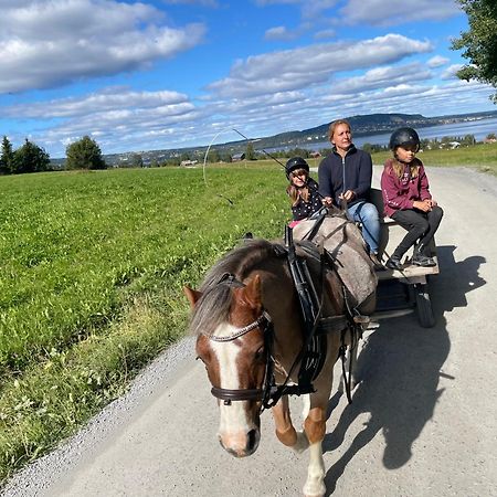 Scenic Small Guesthouse On Horse Farm By The Lake Frösö エクステリア 写真