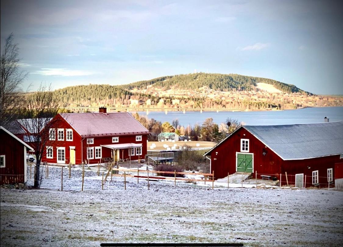 Scenic Small Guesthouse On Horse Farm By The Lake Frösö エクステリア 写真