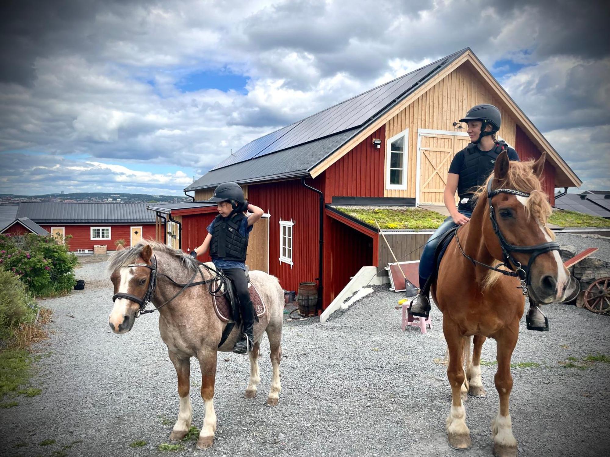 Scenic Small Guesthouse On Horse Farm By The Lake Frösö エクステリア 写真