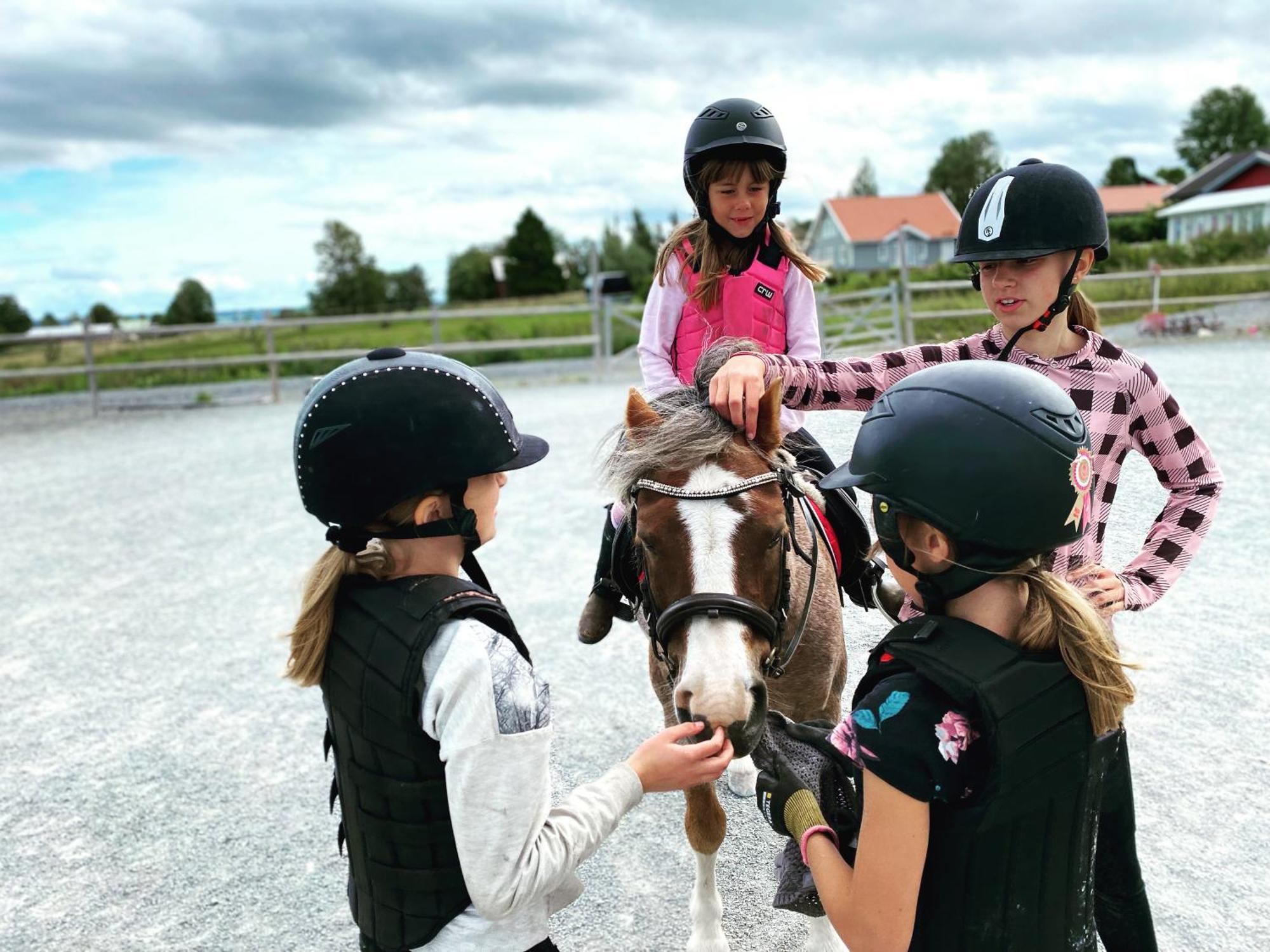Scenic Small Guesthouse On Horse Farm By The Lake Frösö エクステリア 写真