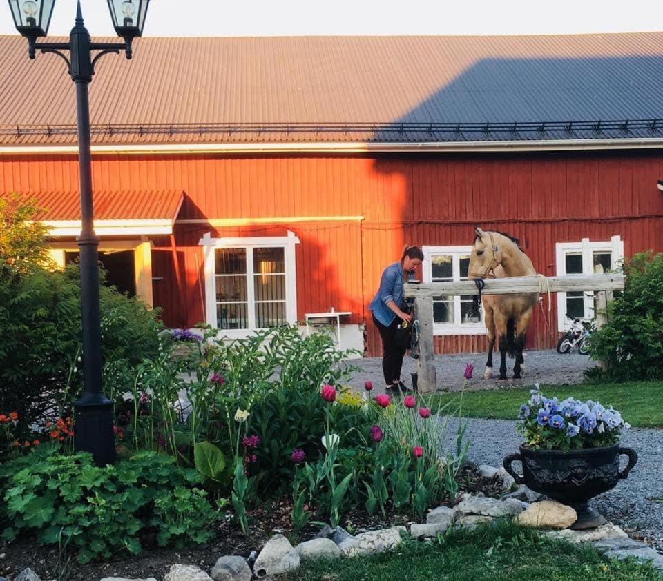 Scenic Small Guesthouse On Horse Farm By The Lake Frösö エクステリア 写真