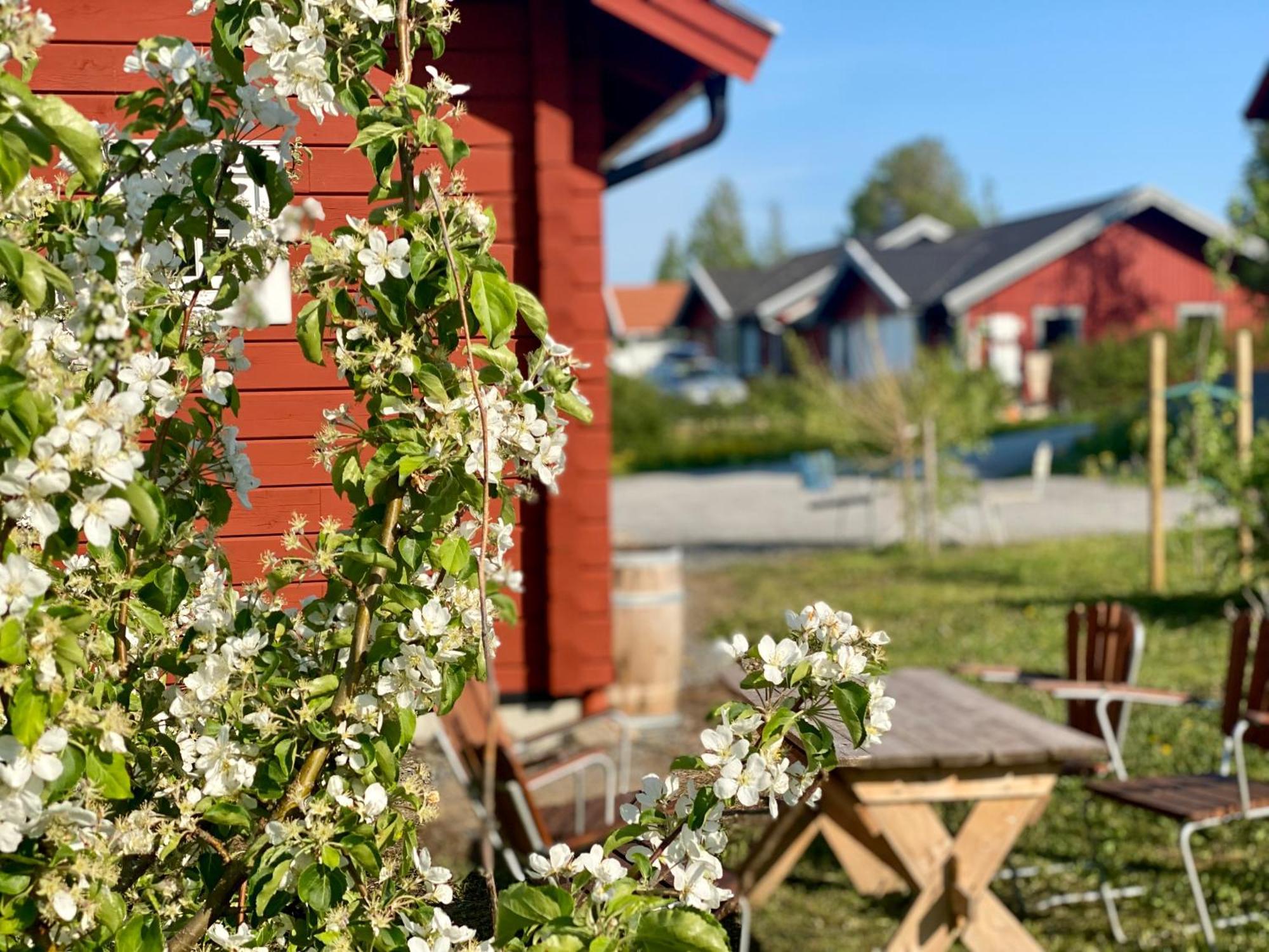 Scenic Small Guesthouse On Horse Farm By The Lake Frösö エクステリア 写真