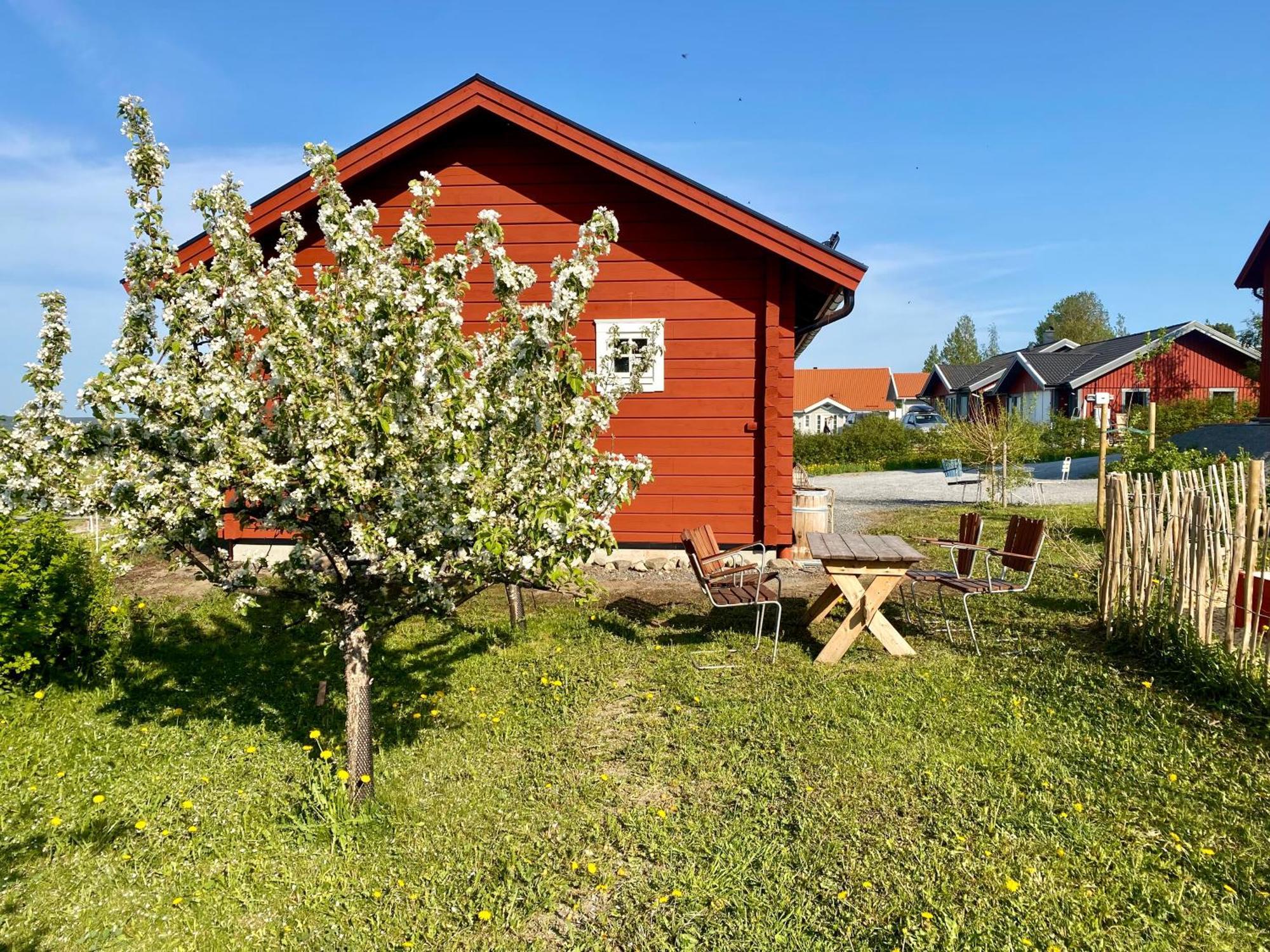 Scenic Small Guesthouse On Horse Farm By The Lake Frösö エクステリア 写真